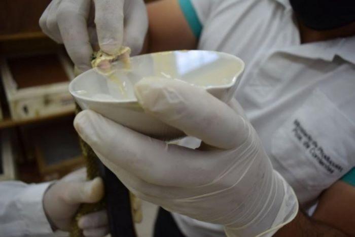 Escasez de suero antiofídico preocupa en Venezuela ante incremento de mordeduras de serpientes