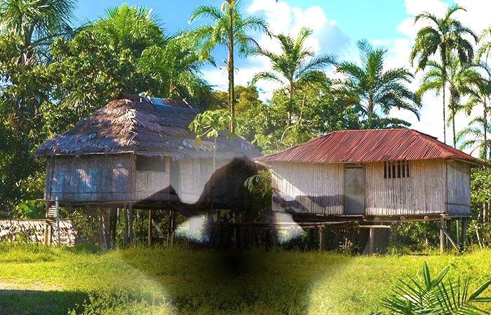 El drama de las menores indígenas abusadas en la Amazonía colombiana – expresa.SE