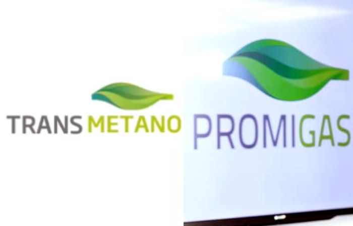 El abuso de poder de Trasmetano y Promigas para mantener el monopolio en el mercado del gas natural en Colombia