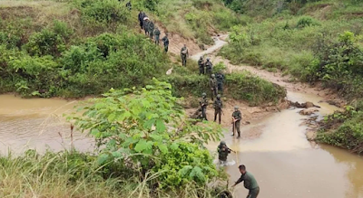 Economías ilegales y grupos criminales destruyen la Amazonía en 2023, alerta informe