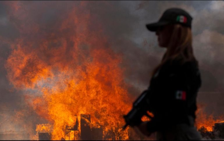 Cárteles de la droga, un monstruo de mil cabezas