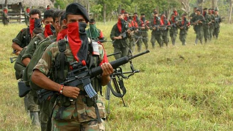 El ELN colombiano se apoderó de 15 fincas en territorio de Venezuela