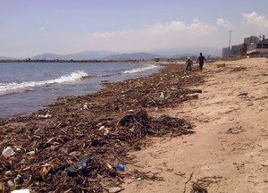(Anzoátegui) PC detectó presencia de bora en playas de Lechería